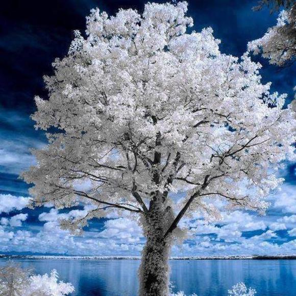 Meet your Posher, J - Picture 1 of 2